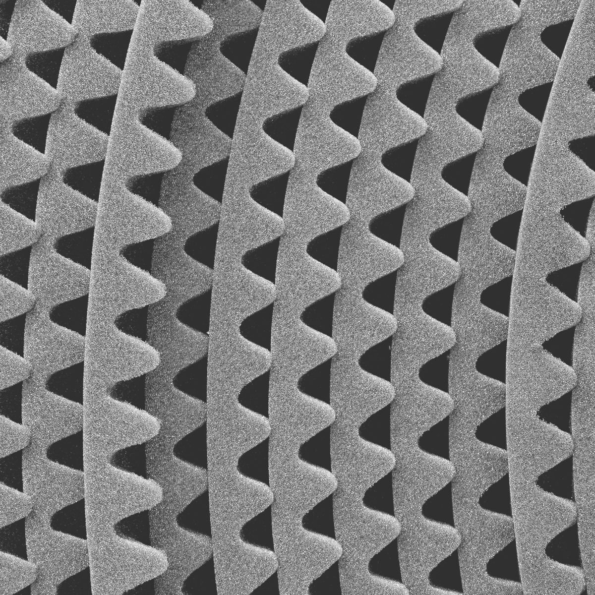 Bugnatrice Bugnatrice