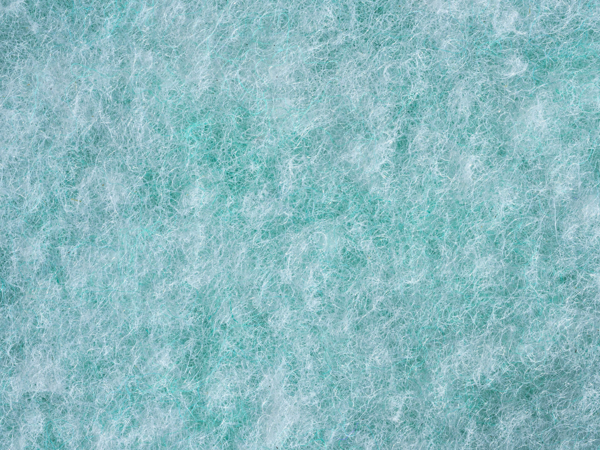 Bottiglie in PET (1)